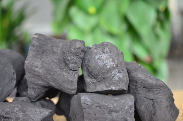 Than củi - Công Ty TNHH Xuất Nhập Khẩu Ecovus Việt Nam